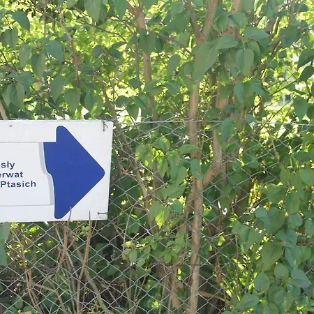 Przystanek Kaszuby Łeba