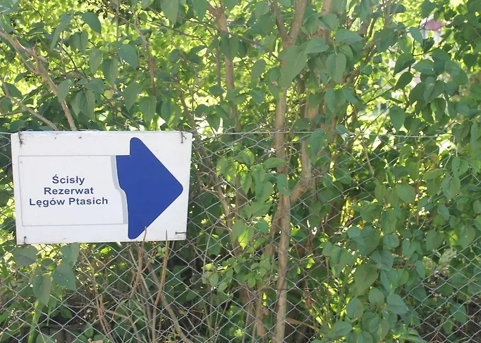 Przystanek Kaszuby Leba